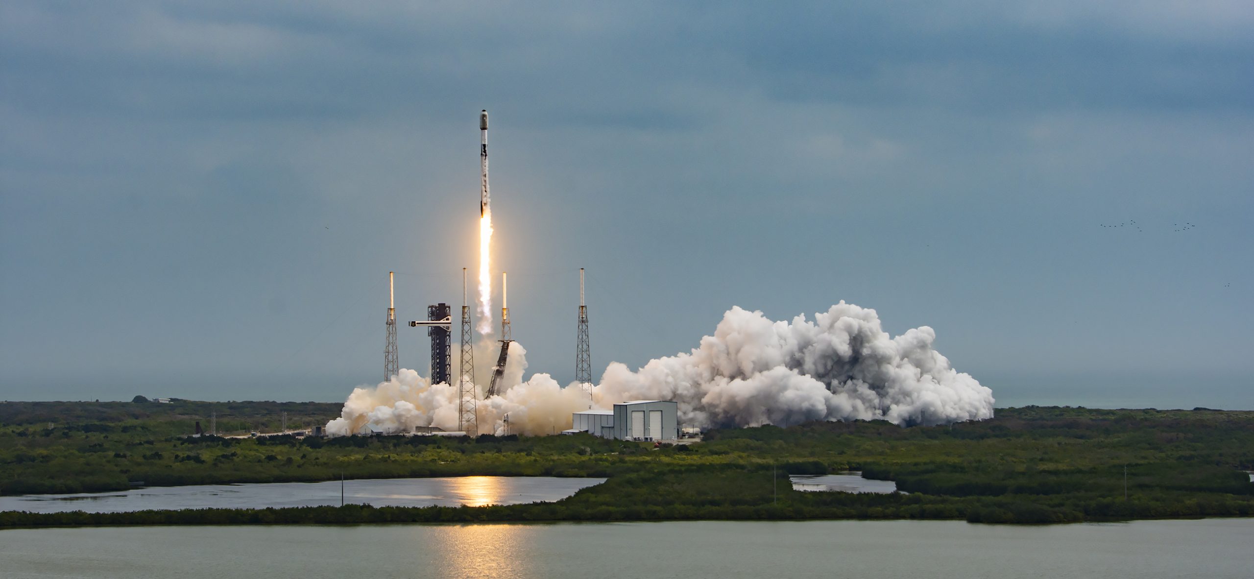 FCC says ‘our economy doesn’t benefit from monopolies’ in dig at SpaceX